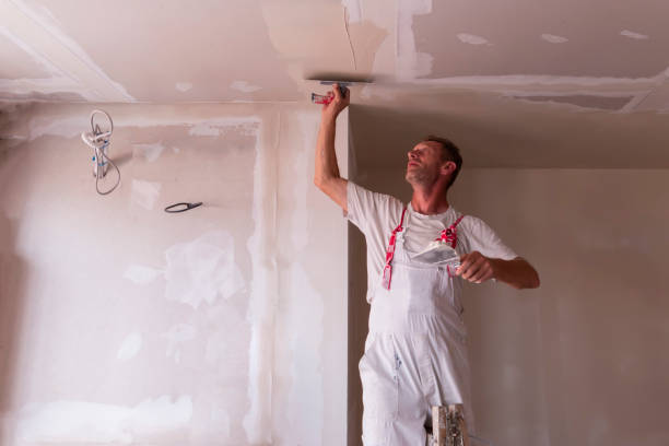 Best Drywall Sanding and Smoothing  in Zebulon, GA